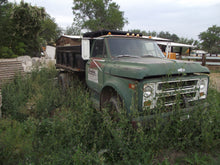 Load image into Gallery viewer, Farm # 22