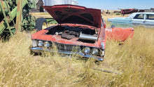 Load image into Gallery viewer, Farm #11
