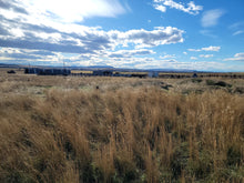 Load image into Gallery viewer, Farm # 33