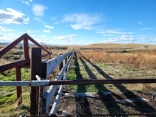 Load image into Gallery viewer, Farm # 33