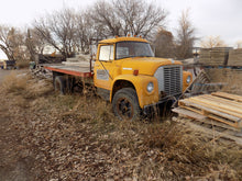 Load image into Gallery viewer, Farm # 22