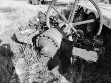 Load image into Gallery viewer, Farm #8