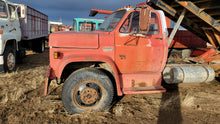 Load image into Gallery viewer, Farm #11