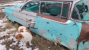 56 Mercury Body