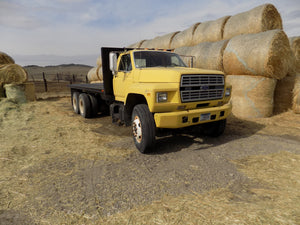 87 Ford  Tandem