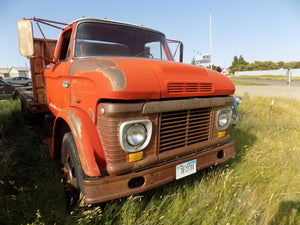 Ford Truck