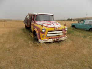 55 Dodge 2 ton