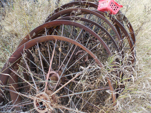 25 year collection of antique  steel farm equipment wheels