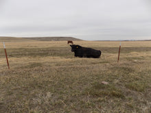 Load image into Gallery viewer, Farm in Montana