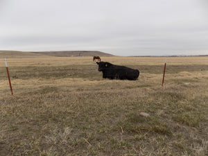 Farm in Montana