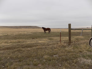 Farm in Montana