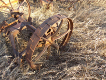 Load image into Gallery viewer, 25 year collection of antique  steel farm equipment wheels