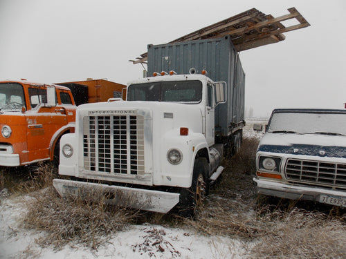 International truck with 20 foot container