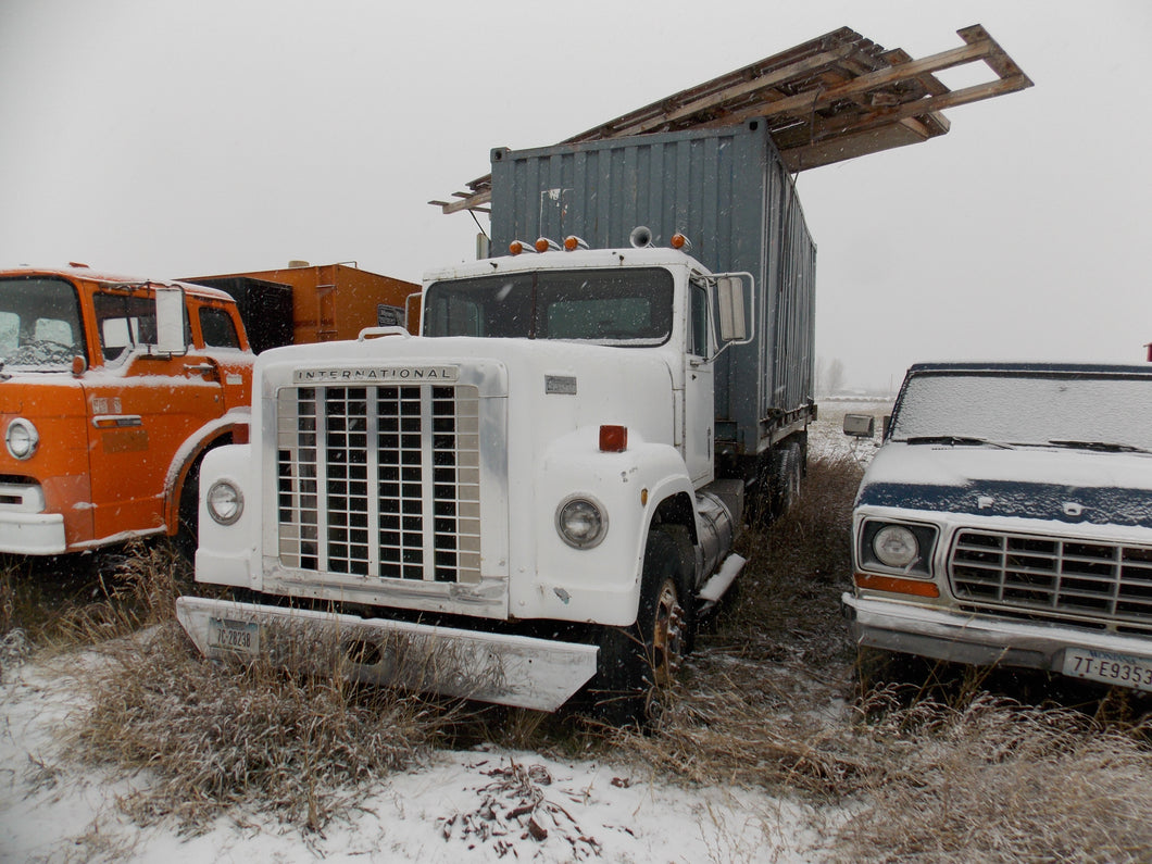 International truck with 20 foot container