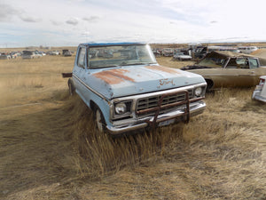 Ford 2 wh drive   and 4x4 pickups