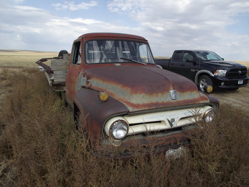 53 Ford  F 350