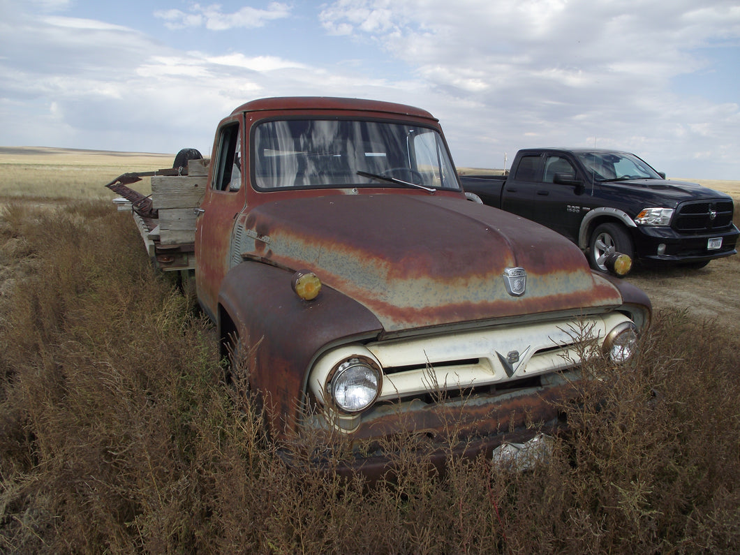 53 Ford  F 350