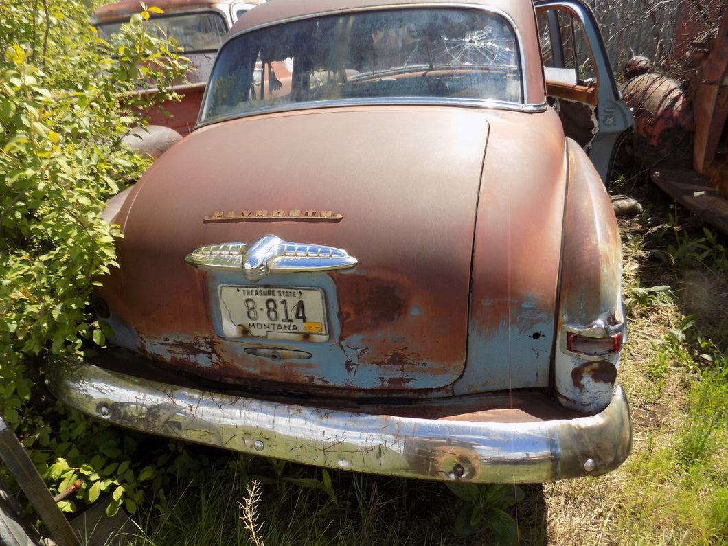 48 Plymouth Cranbrook