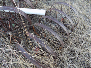 25 year collection of antique  steel farm equipment wheels