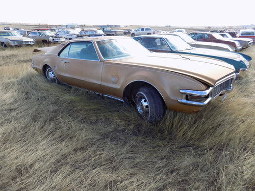 66 Olds Tornado