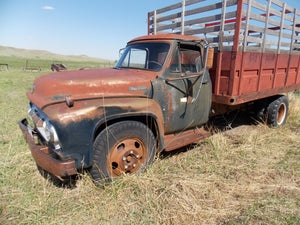 54Ford f 600