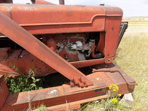 Antique Austin Westin Crane