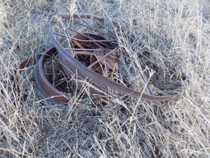 25 year collection of antique  steel farm equipment wheels