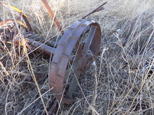 Load image into Gallery viewer, 25 year collection of antique  steel farm equipment wheels