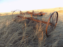 Load image into Gallery viewer, 25 year collection of antique  steel farm equipment wheels