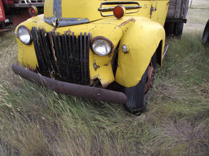 46 Ford f5