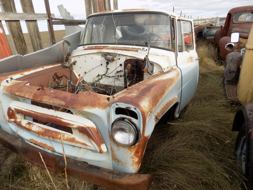 International shortbed pickup