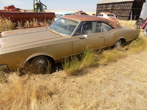 65 Olds 2 dr