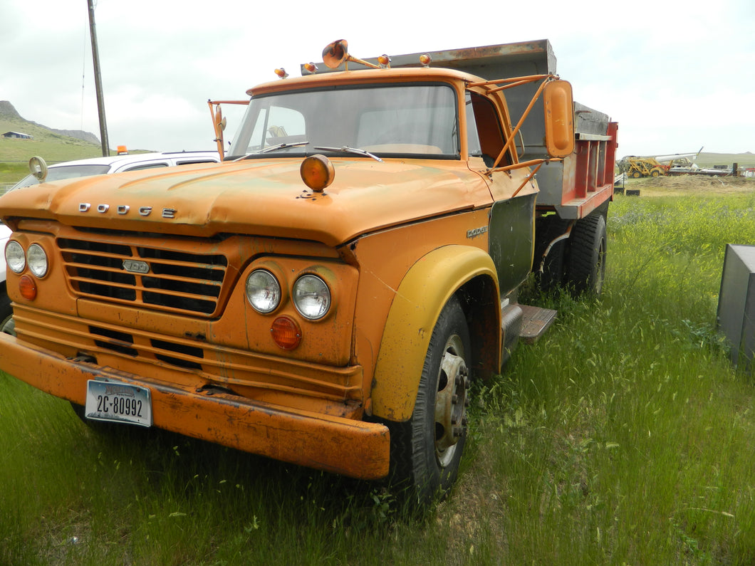 65 Dodge Dump truck