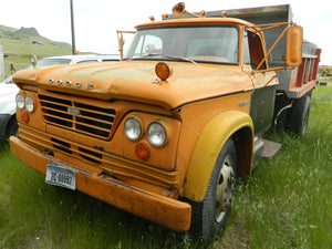 65 Dodge Dump truck