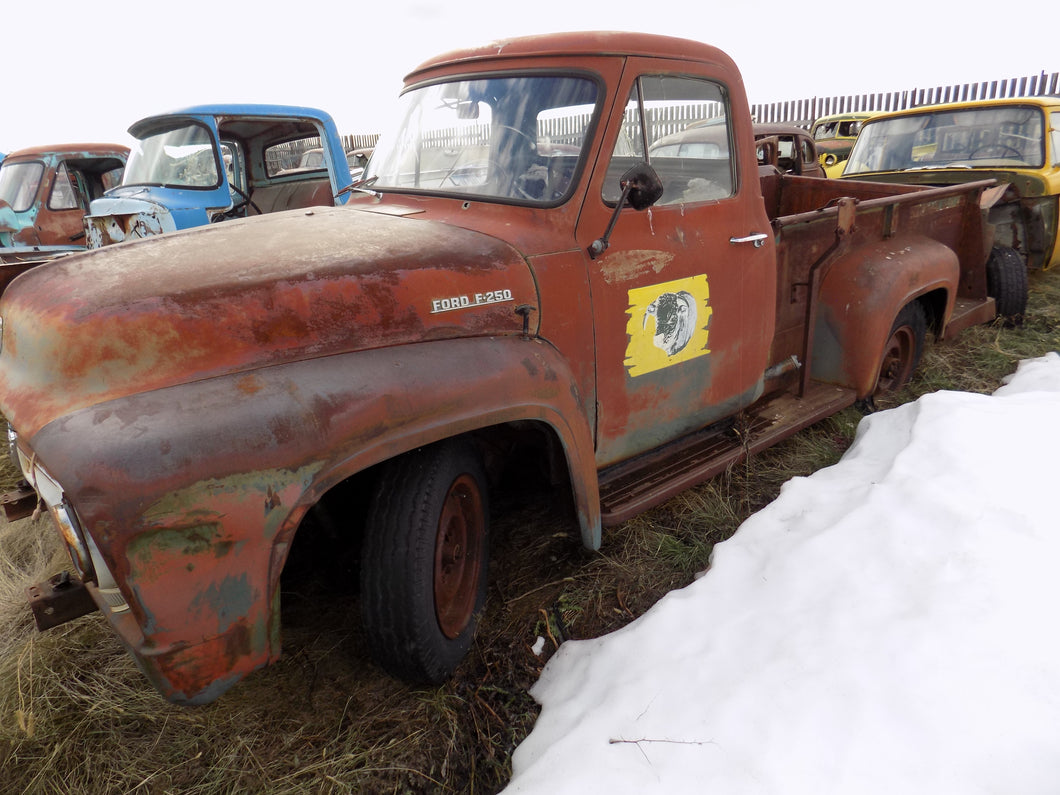 Ford F series pickups