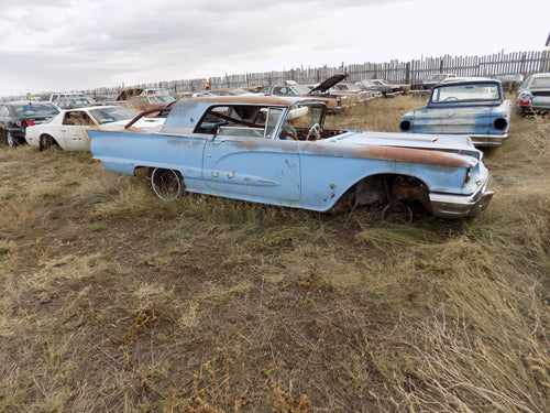 59 T Bird